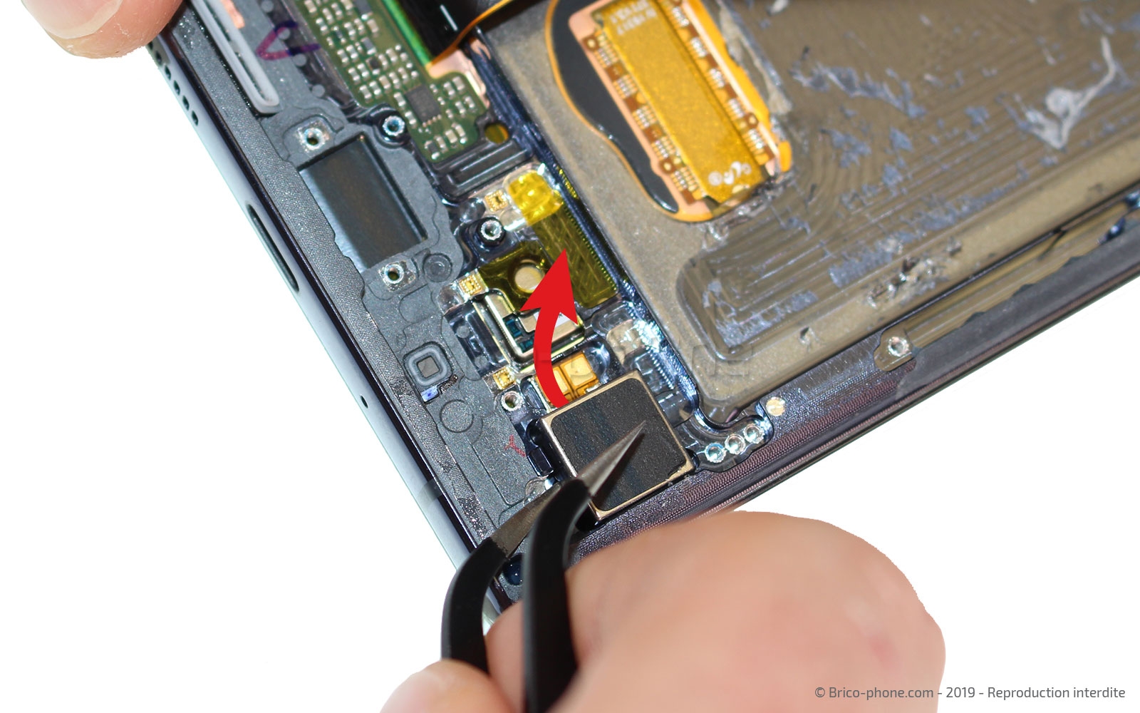 Démontage complet sur Galaxy Note 10 Plus photo 2