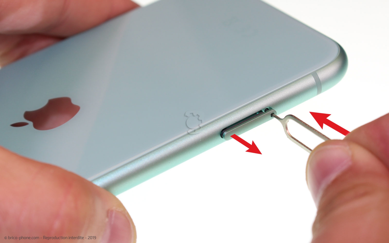 Démontage complet  sur iPhone 11 photo 3