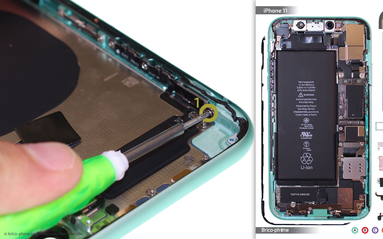 Démontage complet  sur iPhone 11 photo 2