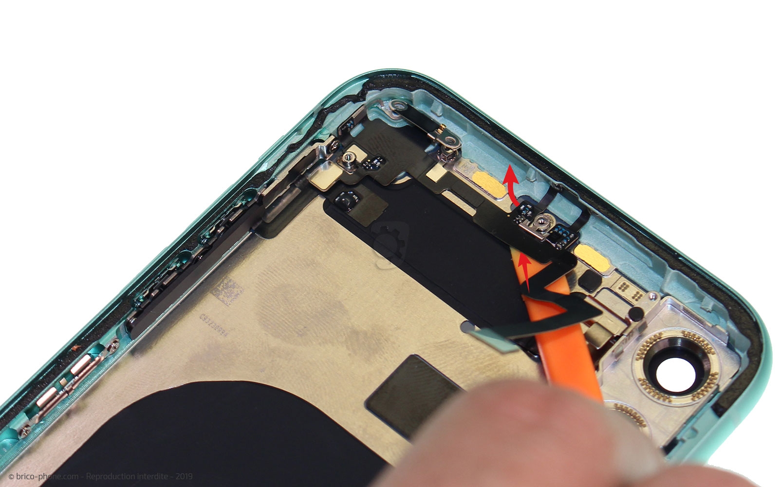 Démontage complet  sur iPhone 11 photo 2