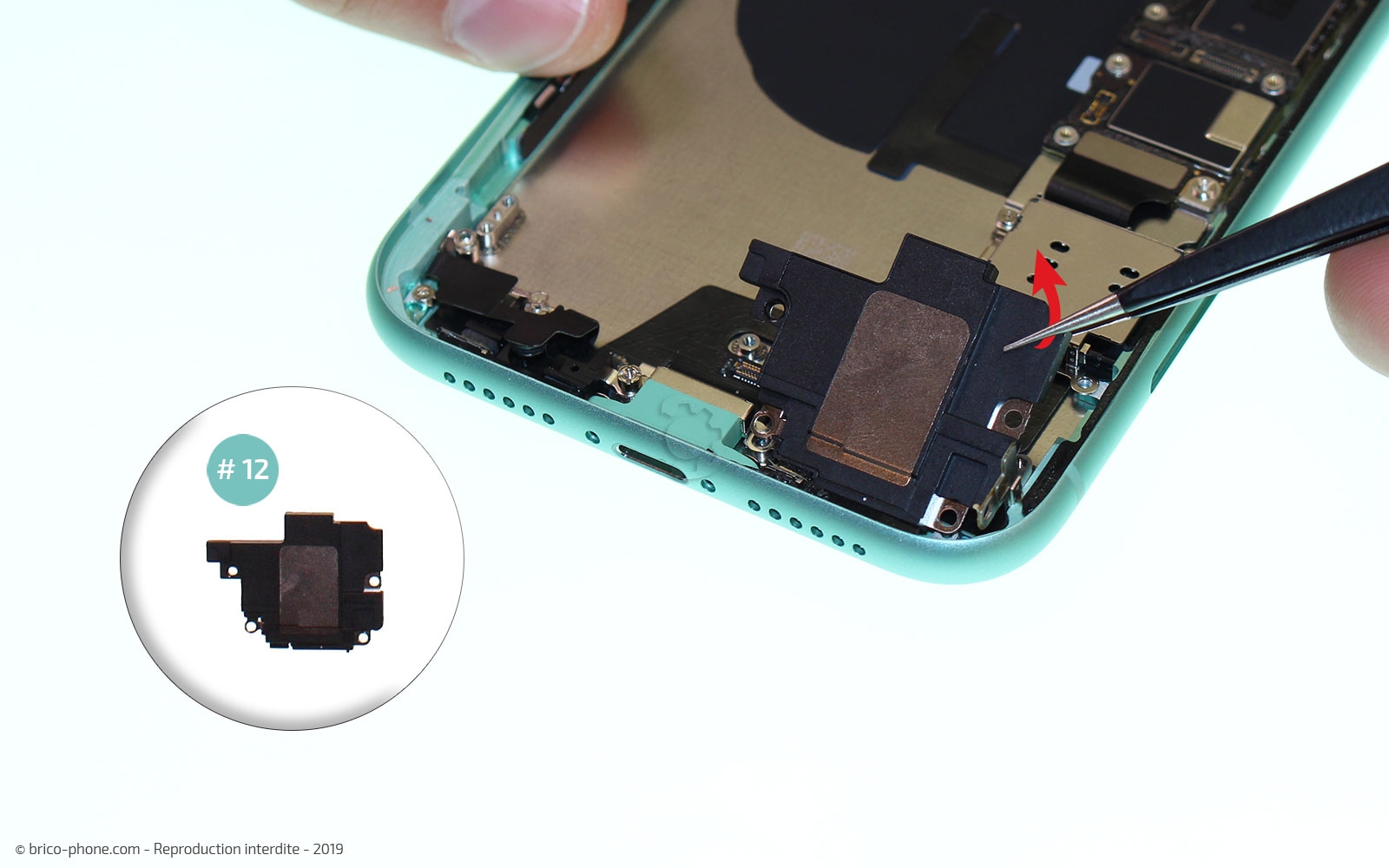 Démontage complet  sur iPhone 11 photo 4