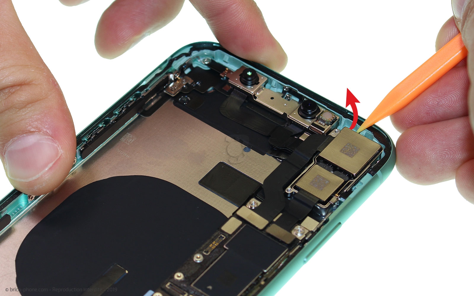 Démontage complet  sur iPhone 11 photo 2