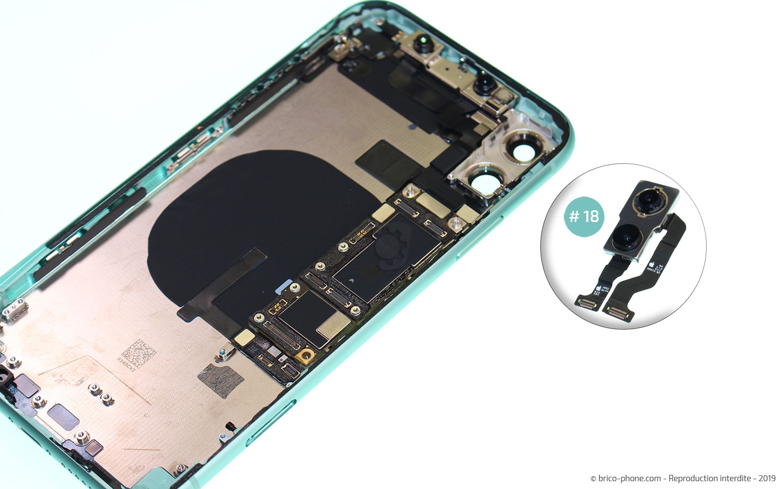 Démontage complet  sur iPhone 11 photo 3