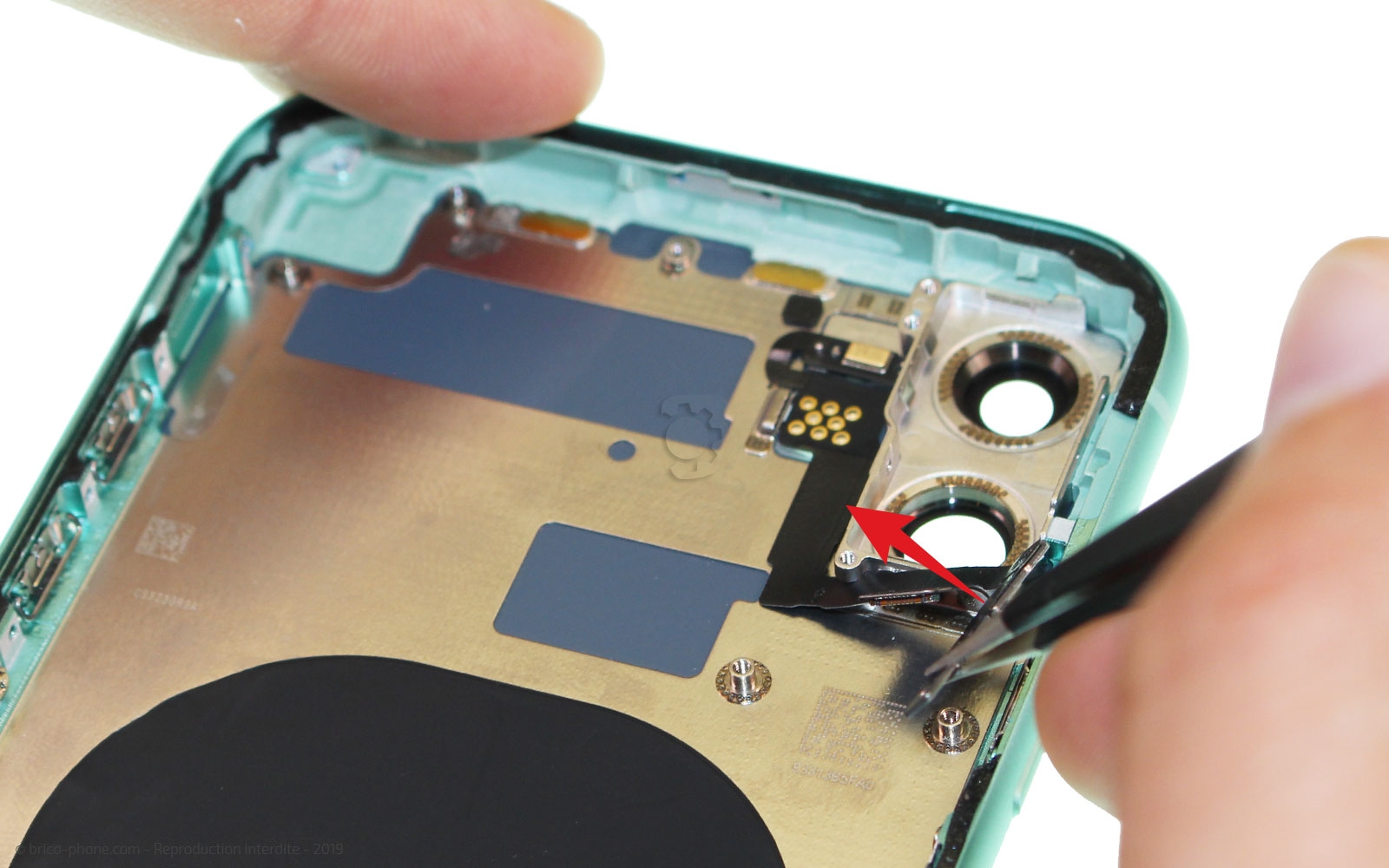 Démontage complet  sur iPhone 11 photo 2