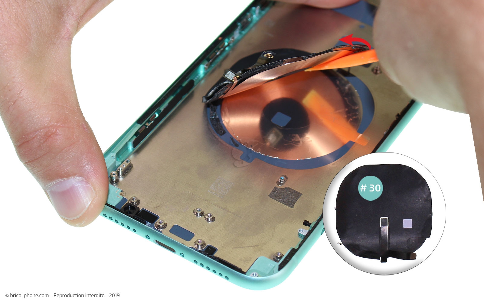 Démontage complet  sur iPhone 11 photo 4