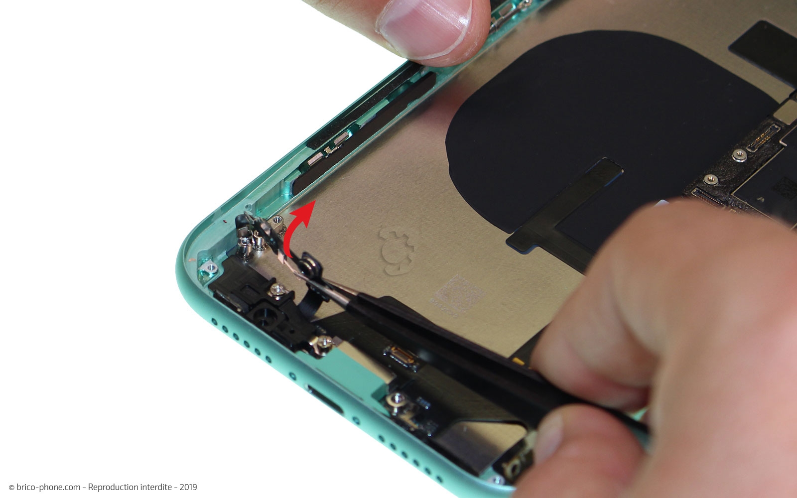 Démontage complet  sur iPhone 11 photo 2