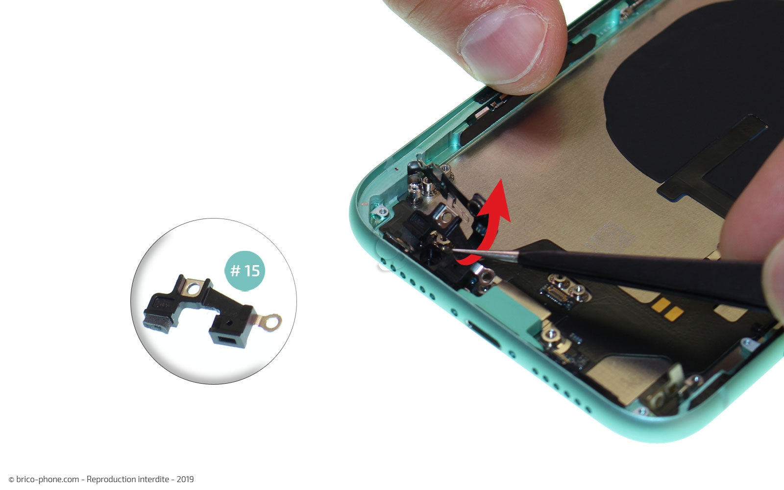 Démontage complet  sur iPhone 11 photo 4