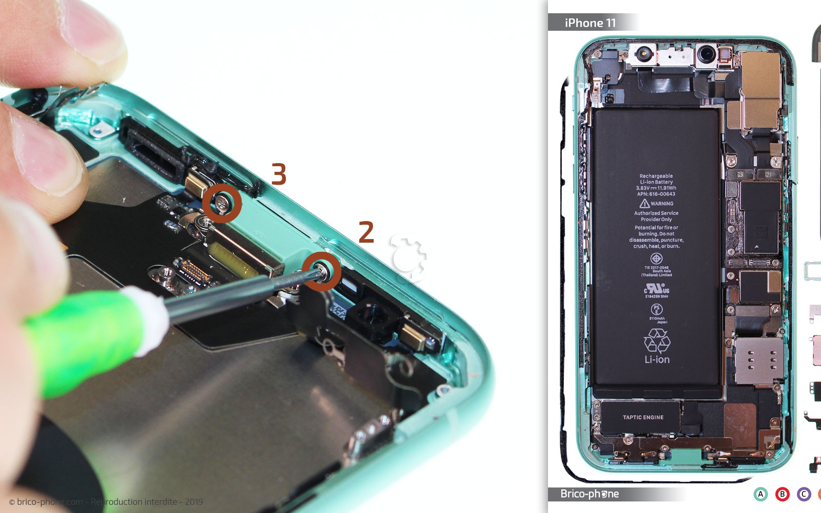 Démontage complet  sur iPhone 11 photo 1