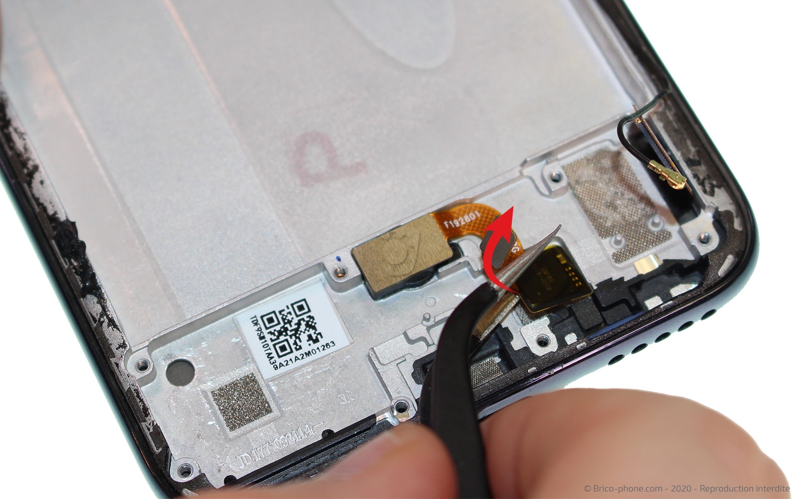 Démontage complet sur Mi A3 photo 2