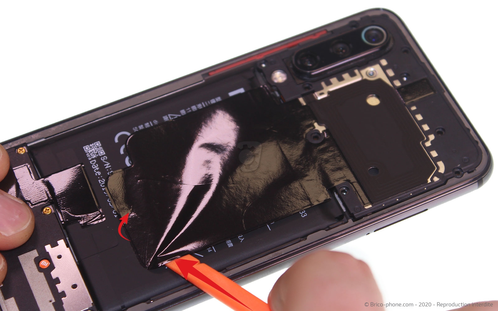 Démontage complet sur Mi 9 SE photo 2