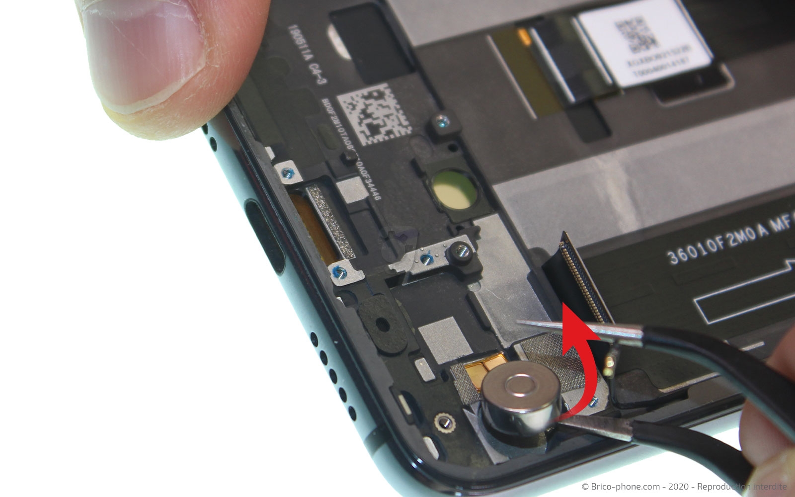 Démontage complet sur Mi 9 SE photo 2