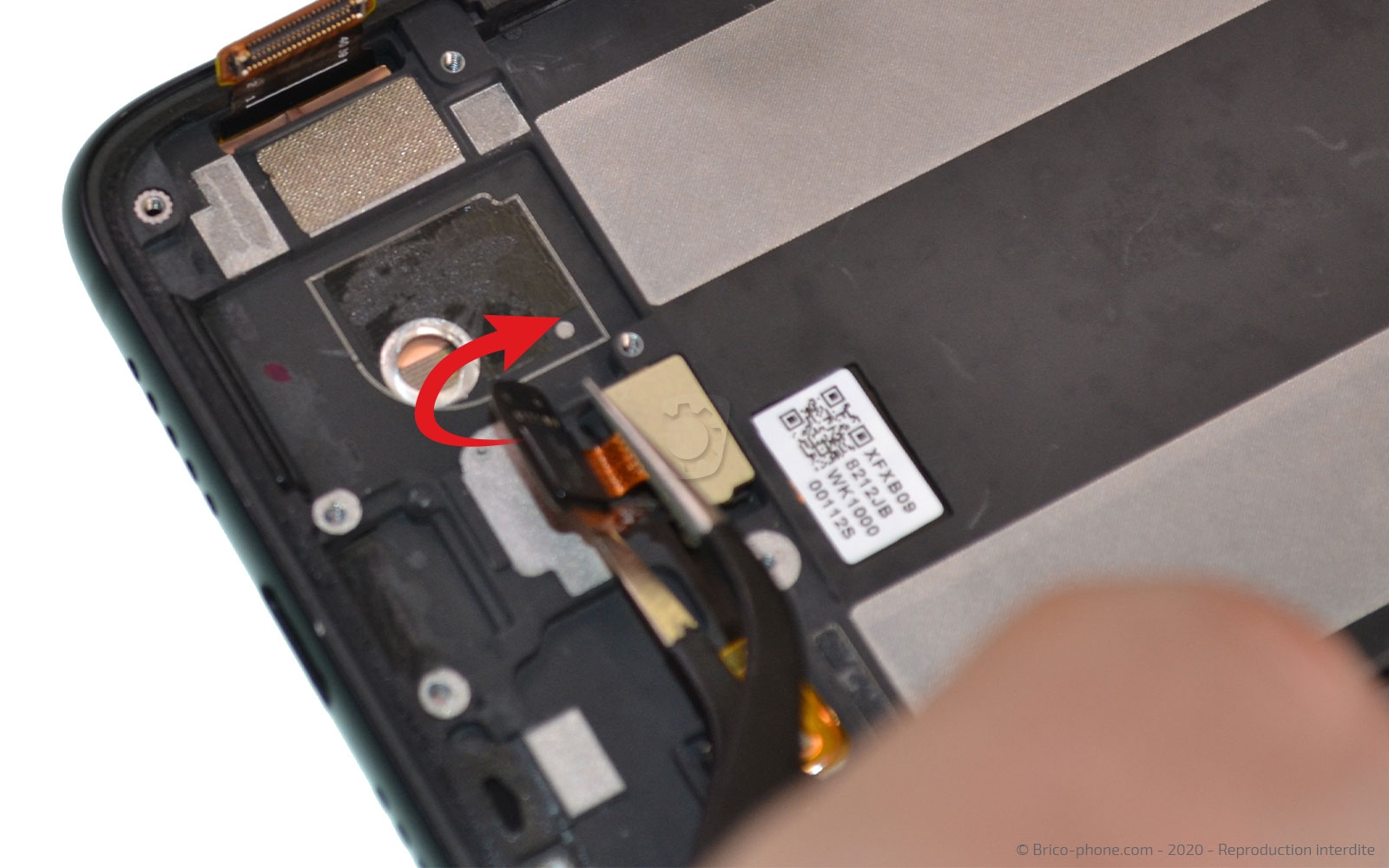 Démontage complet sur Mi 9 Lite photo 2