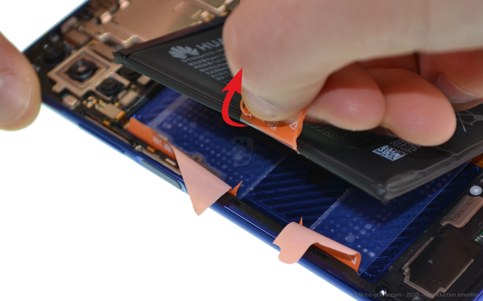 Démontage complet sur Honor 20 photo 3