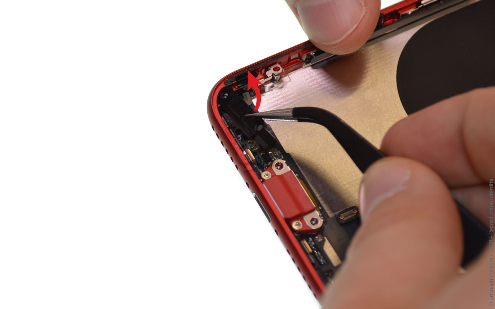 Démontage complet sur iPhone SE 2020 photo 3