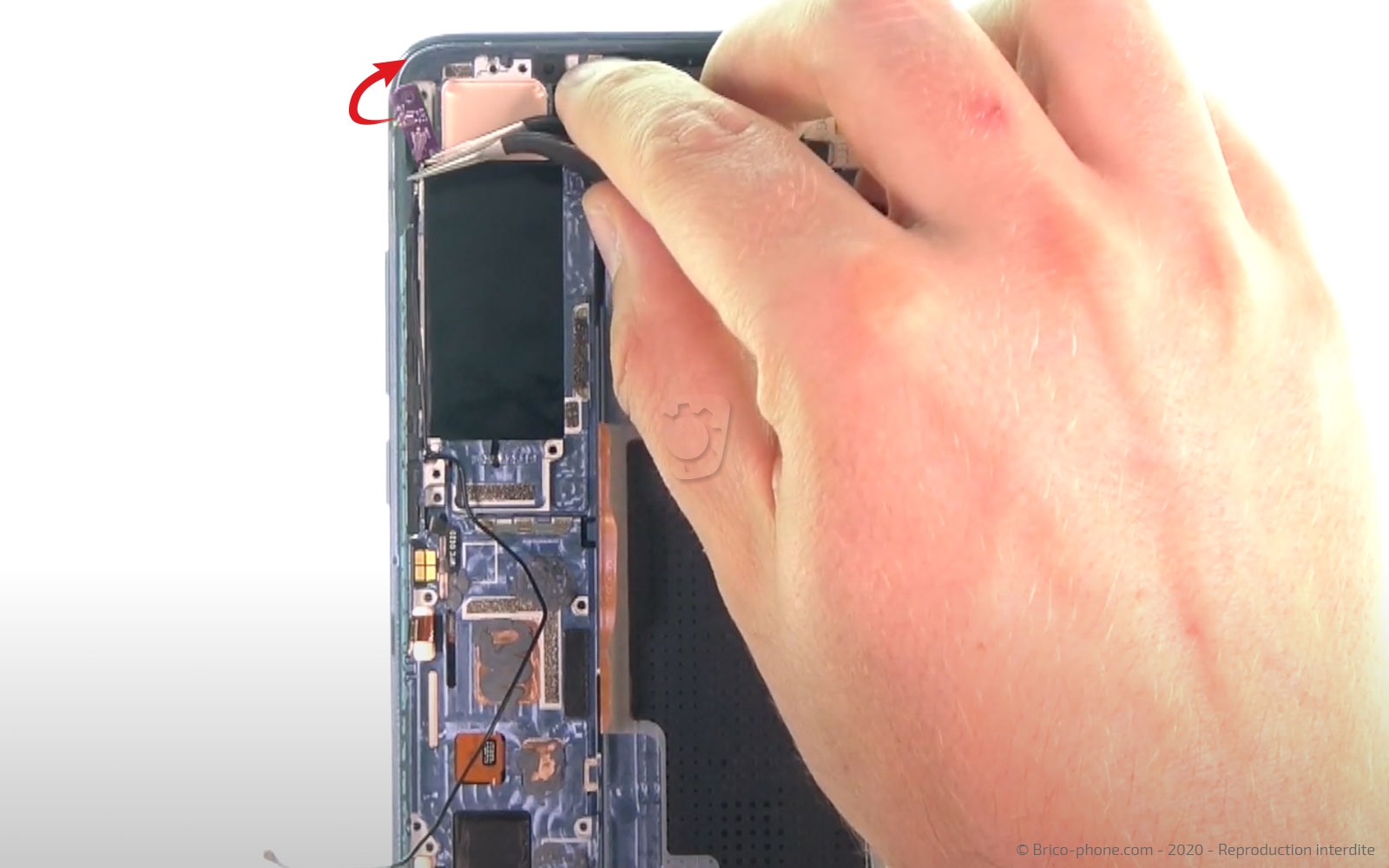 Démontage complet sur Mi 10 photo 4