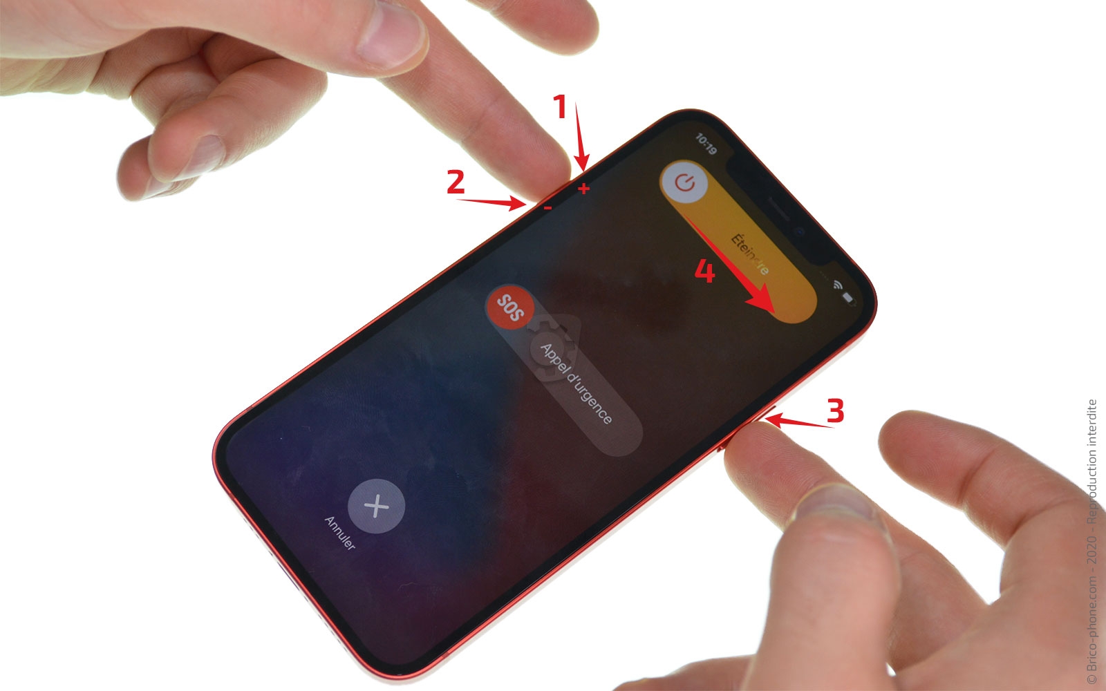 Démontage complet sur iPhone 12 photo 3