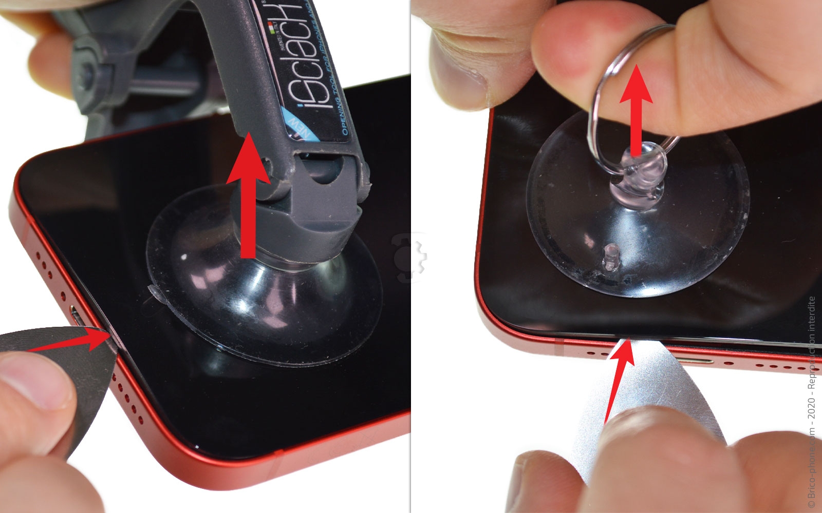 Démontage complet sur iPhone 12 photo 2