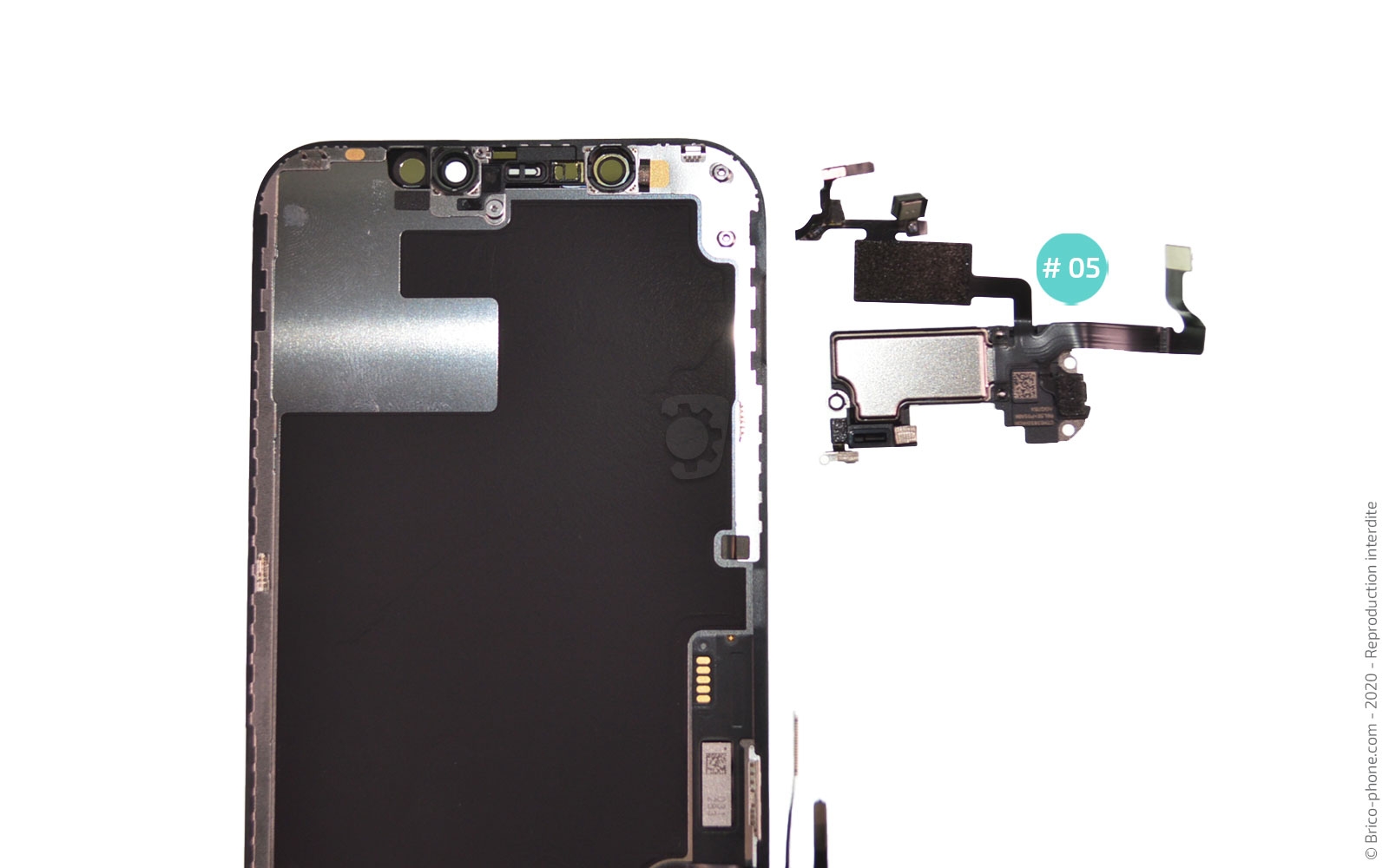 Démontage complet sur iPhone 12 photo 4