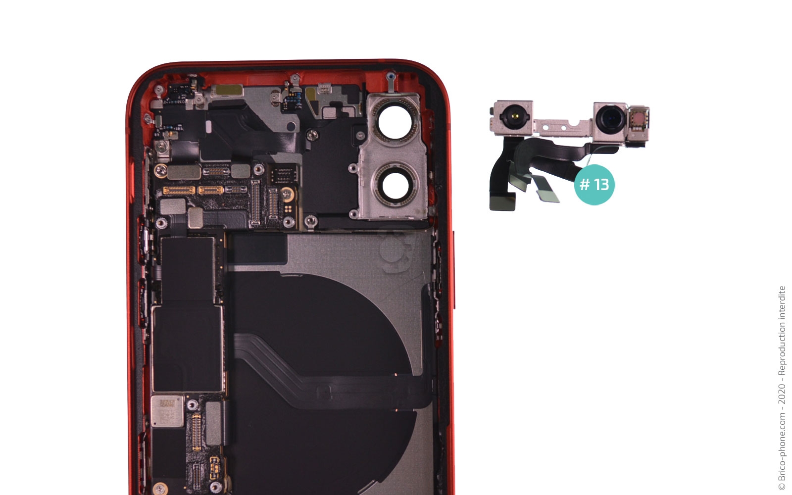 Démontage complet sur iPhone 12 photo 3