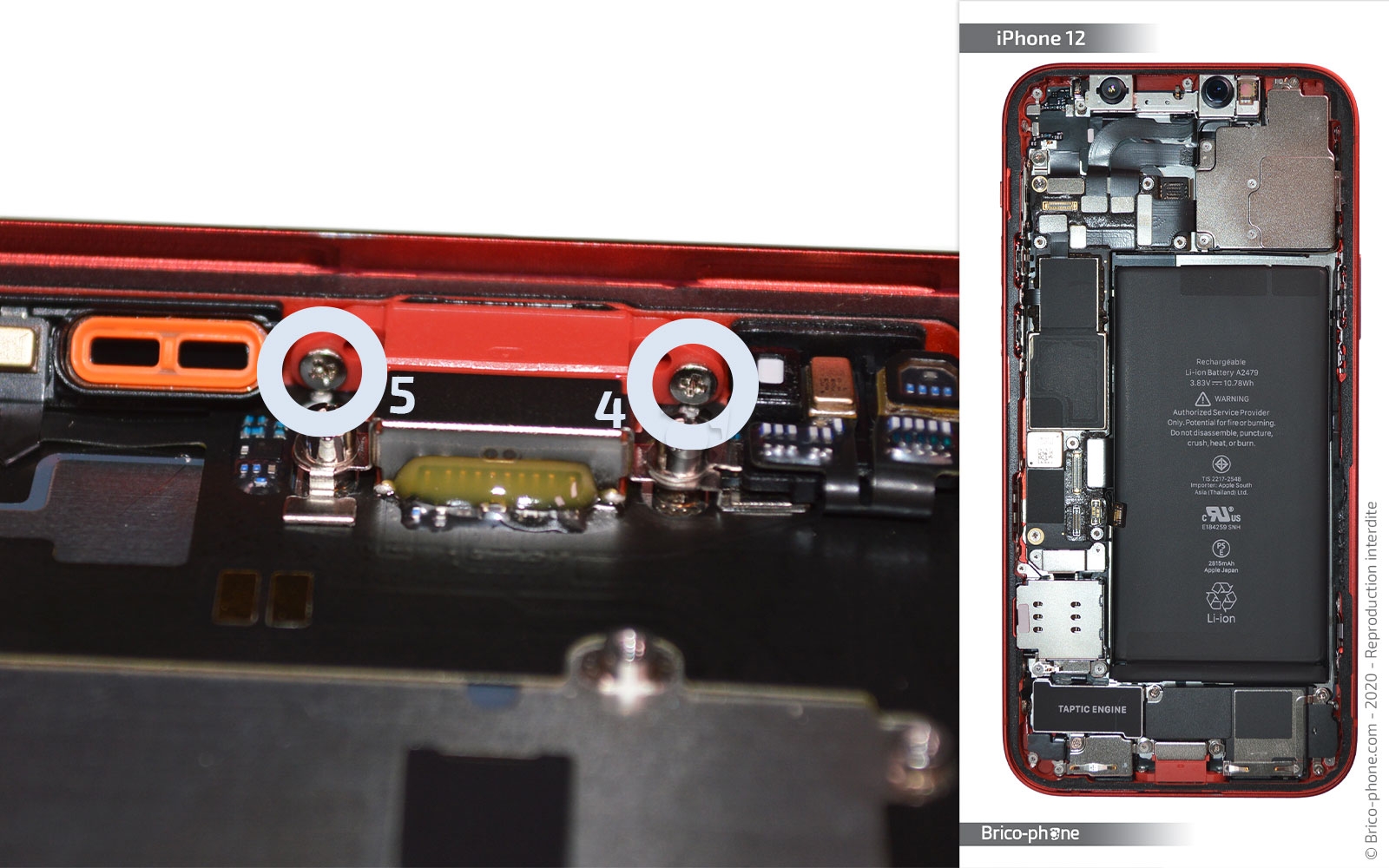 Démontage complet sur iPhone 12 photo 3