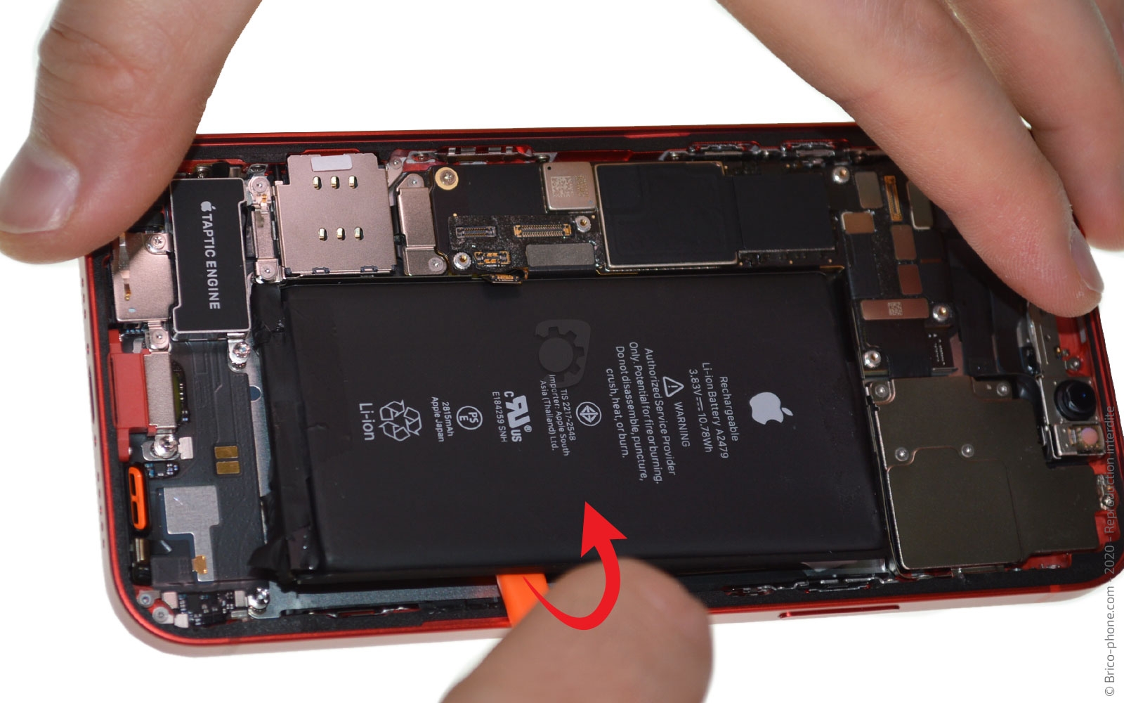 Démontage complet sur iPhone 12 photo 2