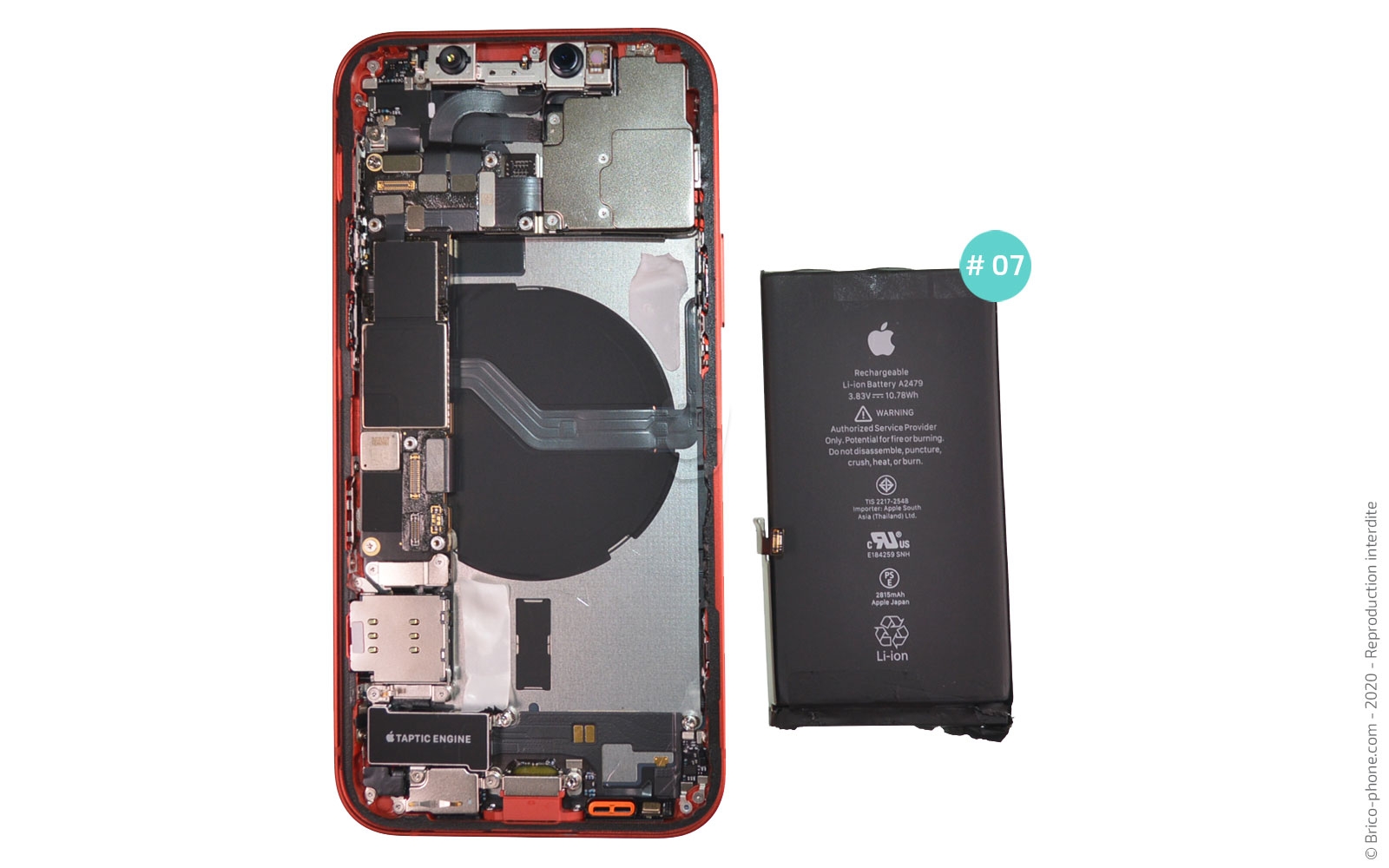 Démontage complet sur iPhone 12 photo 3