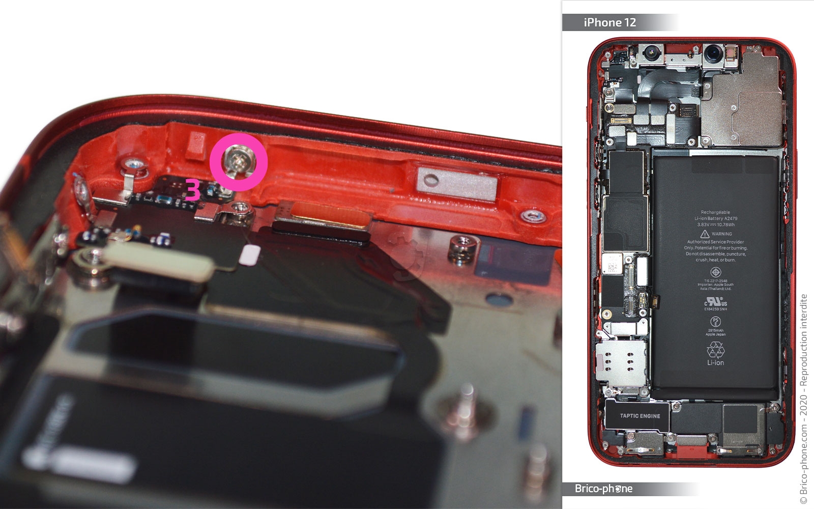 Démontage complet sur iPhone 12 photo 4