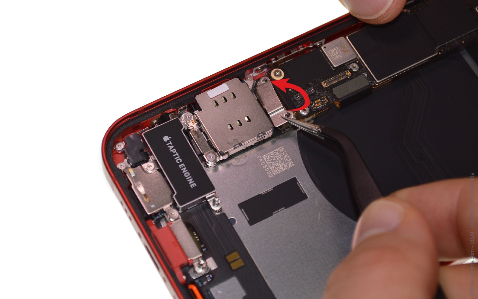 Démontage complet sur iPhone 12 photo 2