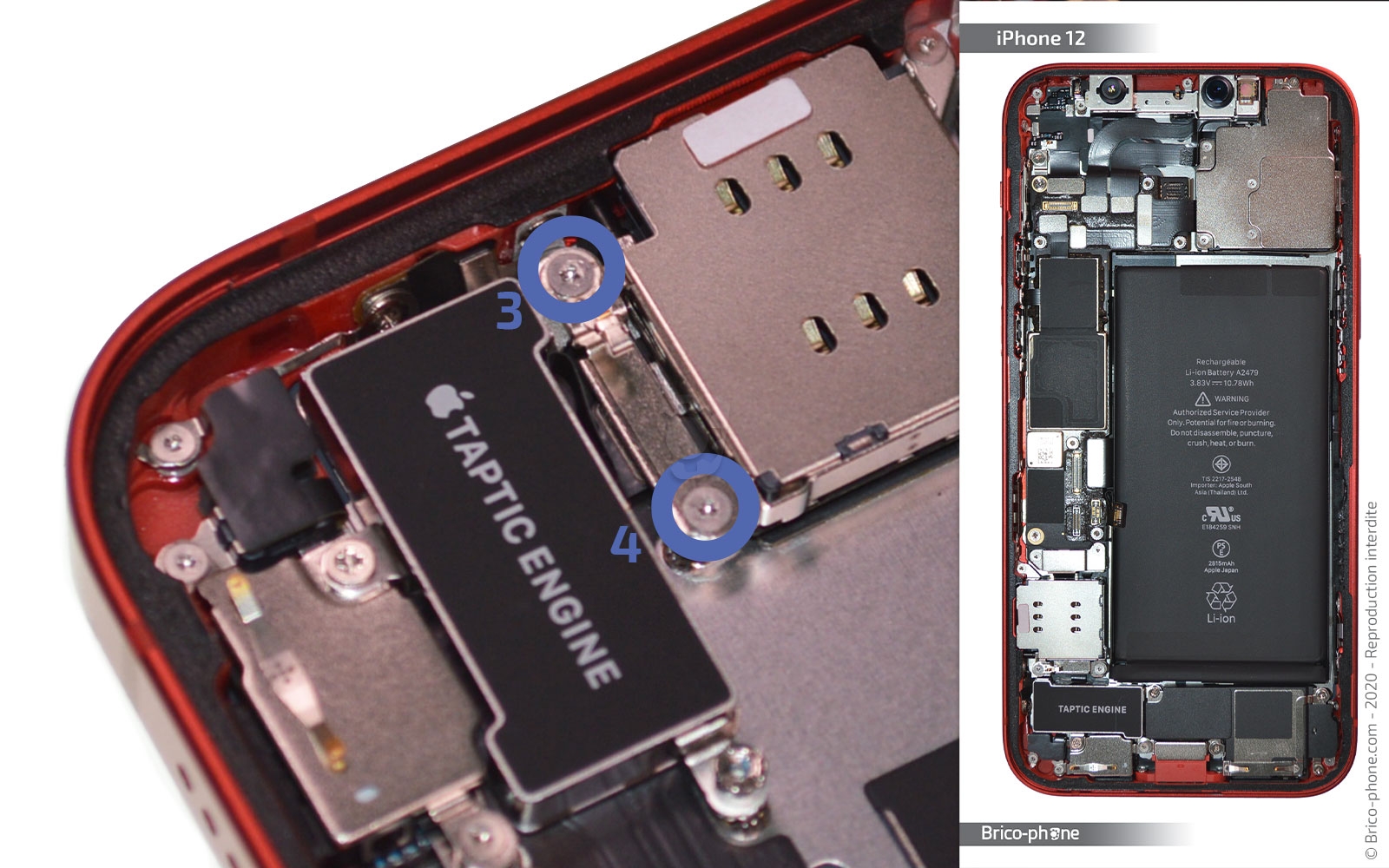 Démontage complet sur iPhone 12 photo 3