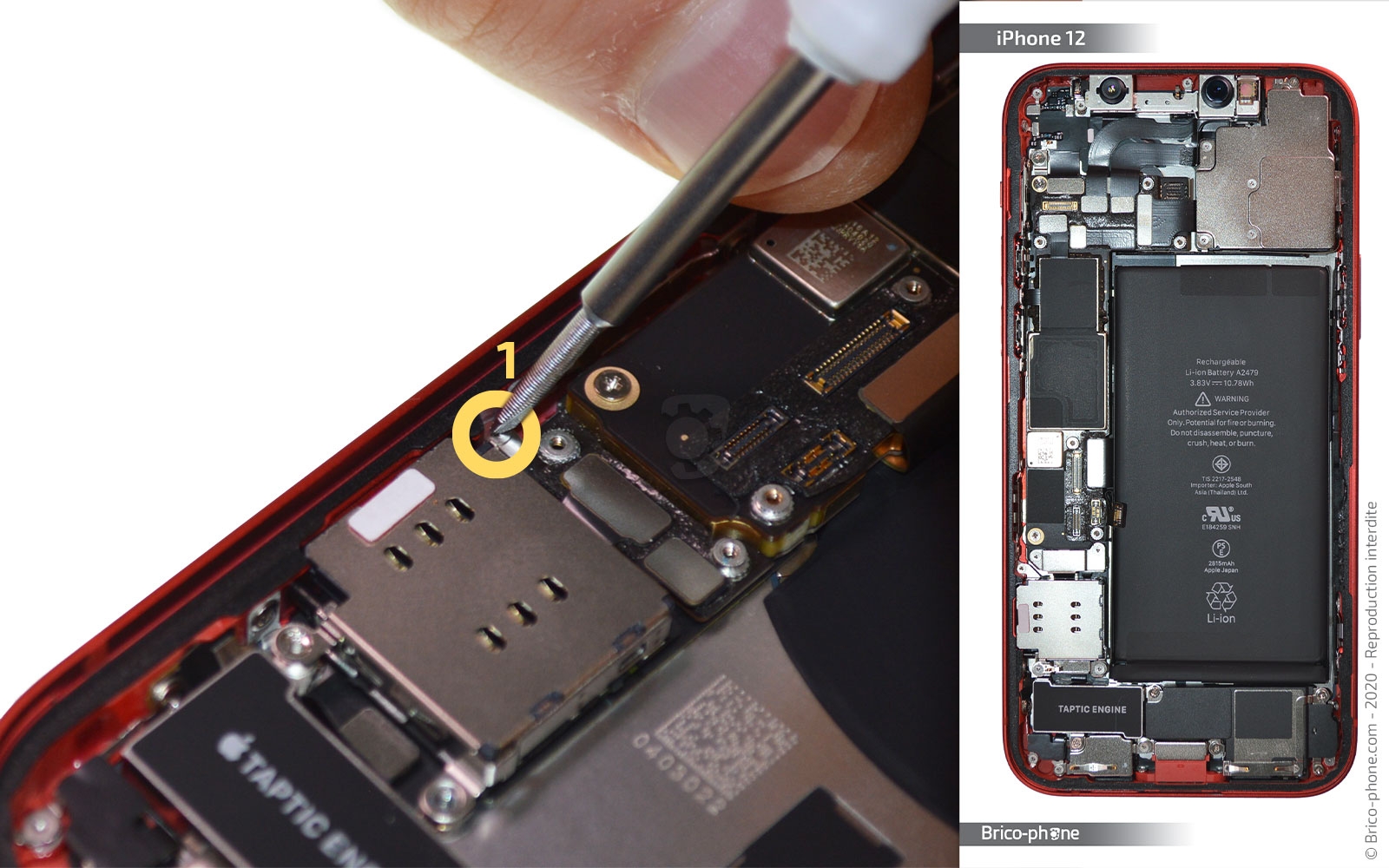 Démontage complet sur iPhone 12 photo 2
