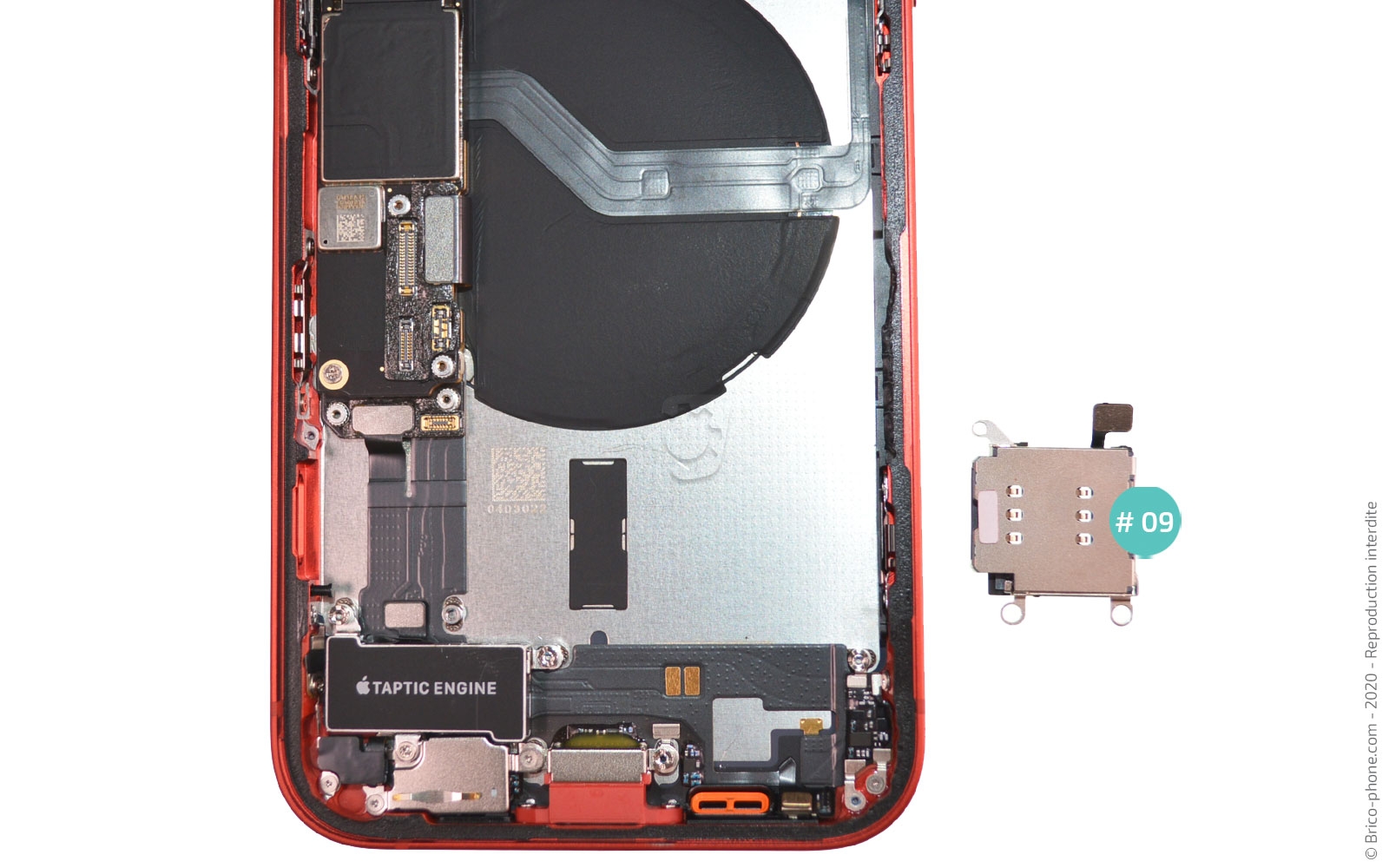 Démontage complet sur iPhone 12 photo 4