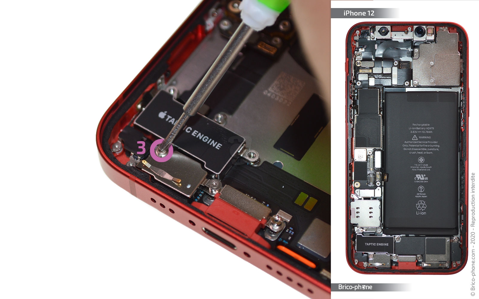 Démontage complet sur iPhone 12 photo 2