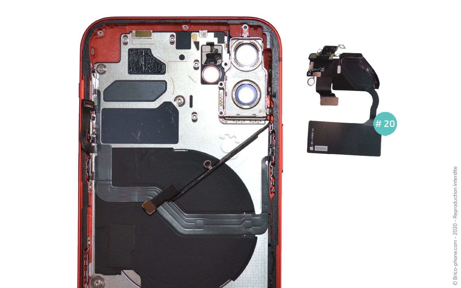 Démontage complet sur iPhone 12 photo 4