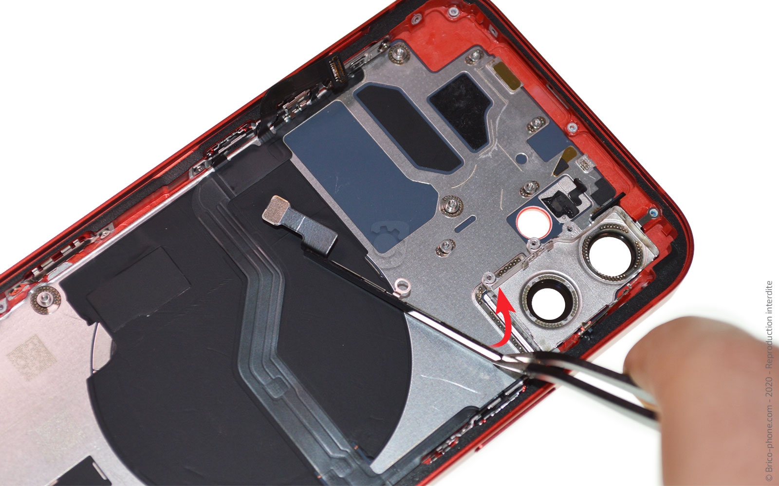 Démontage complet sur iPhone 12 photo 2