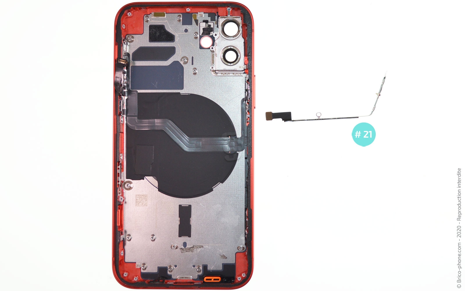 Démontage complet sur iPhone 12 photo 3