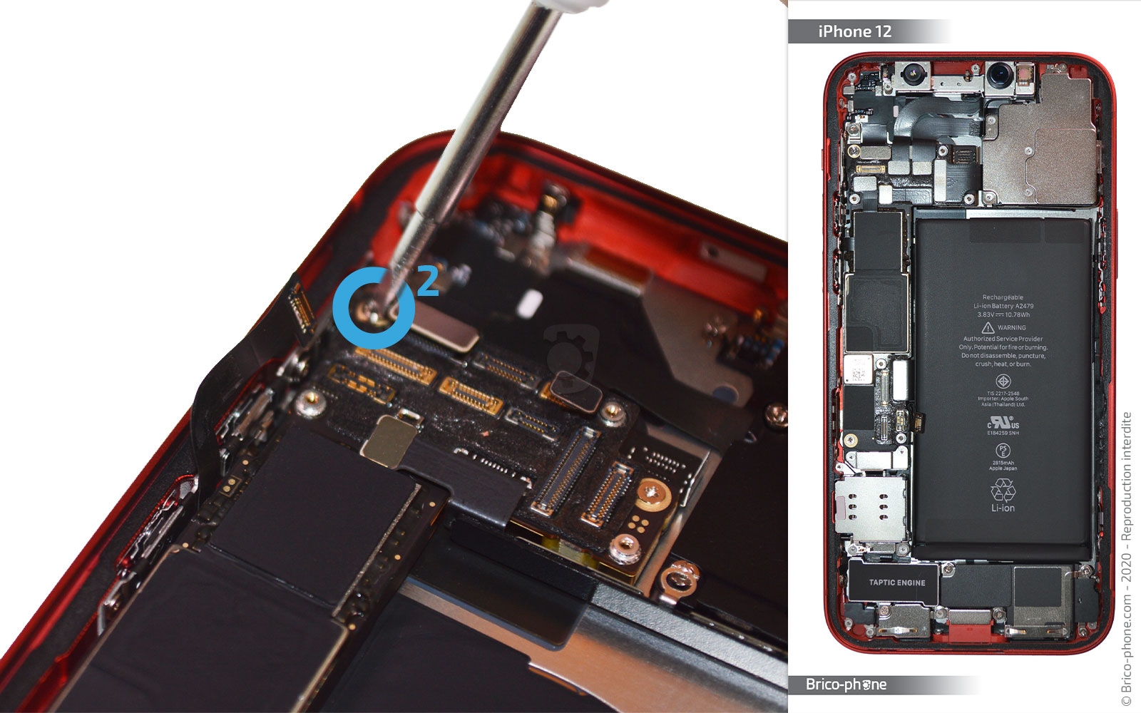 Démontage complet sur iPhone 12 photo 2