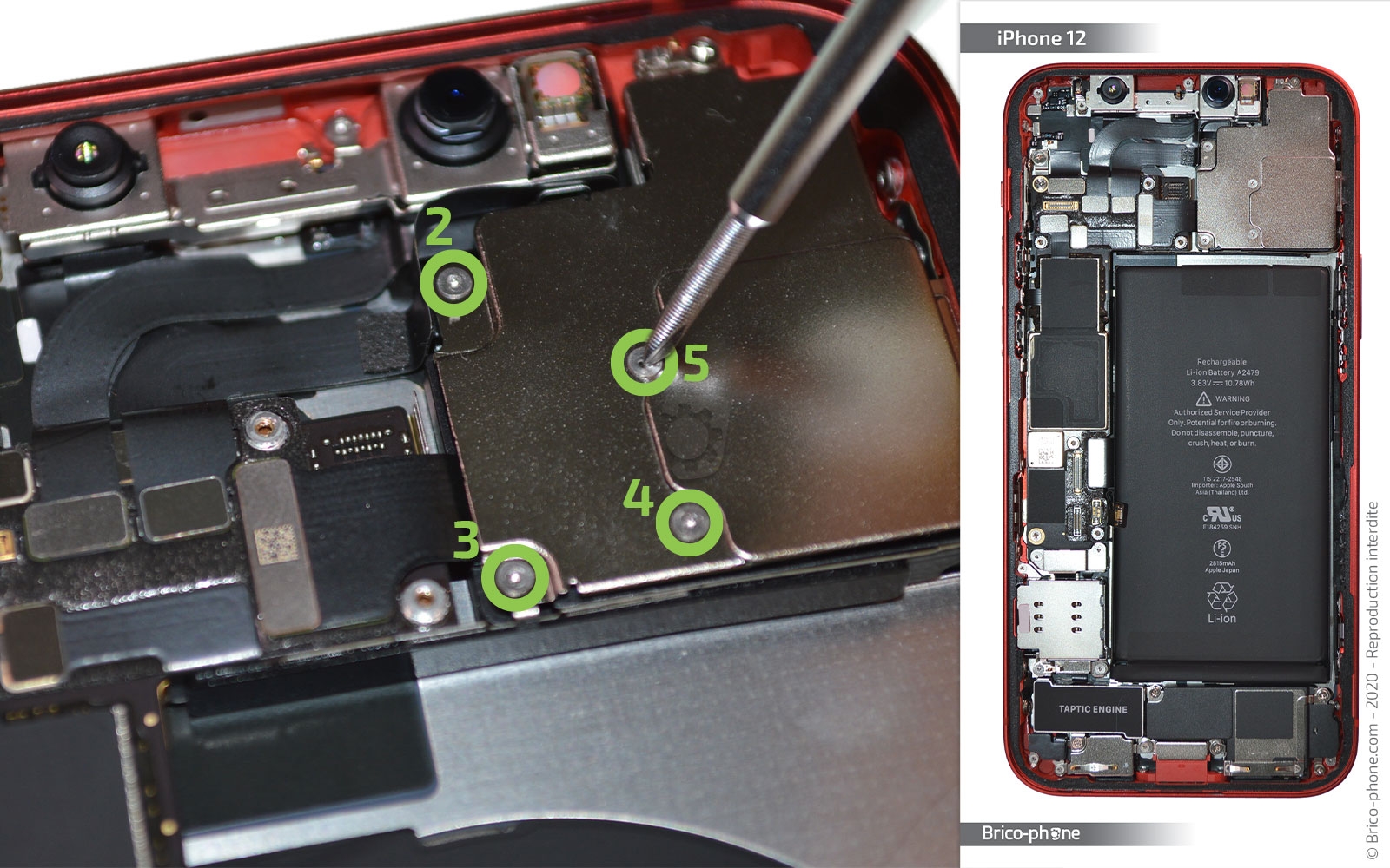 Démontage complet sur iPhone 12 photo 2