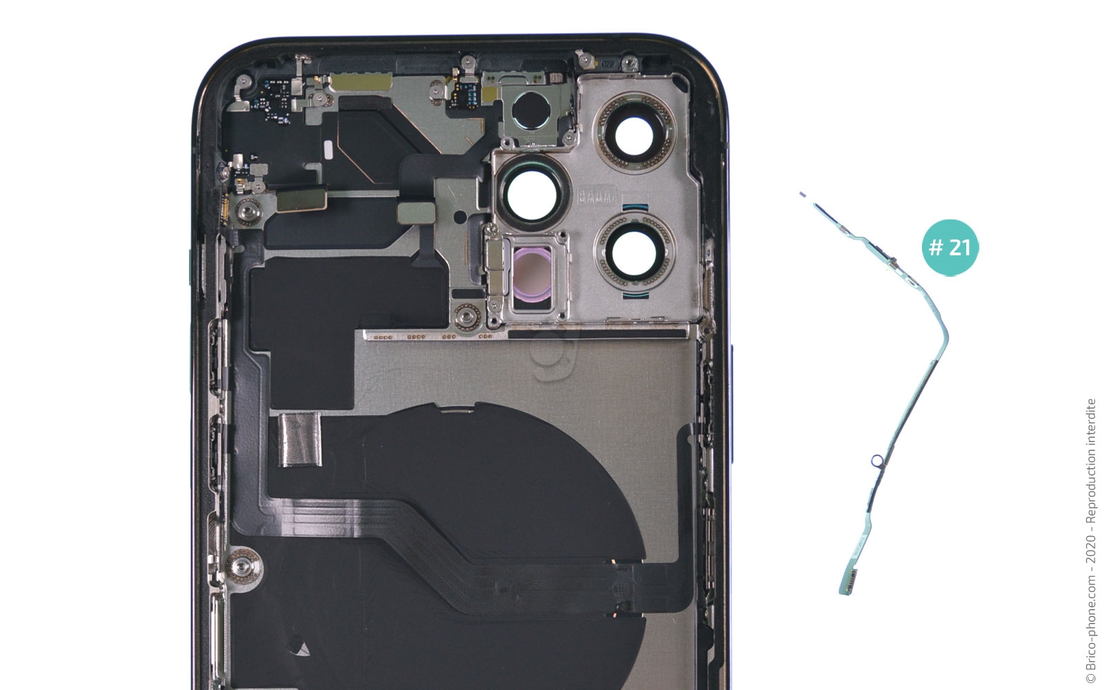 Démontage complet sur iPhone 12 Pro Max photo 4