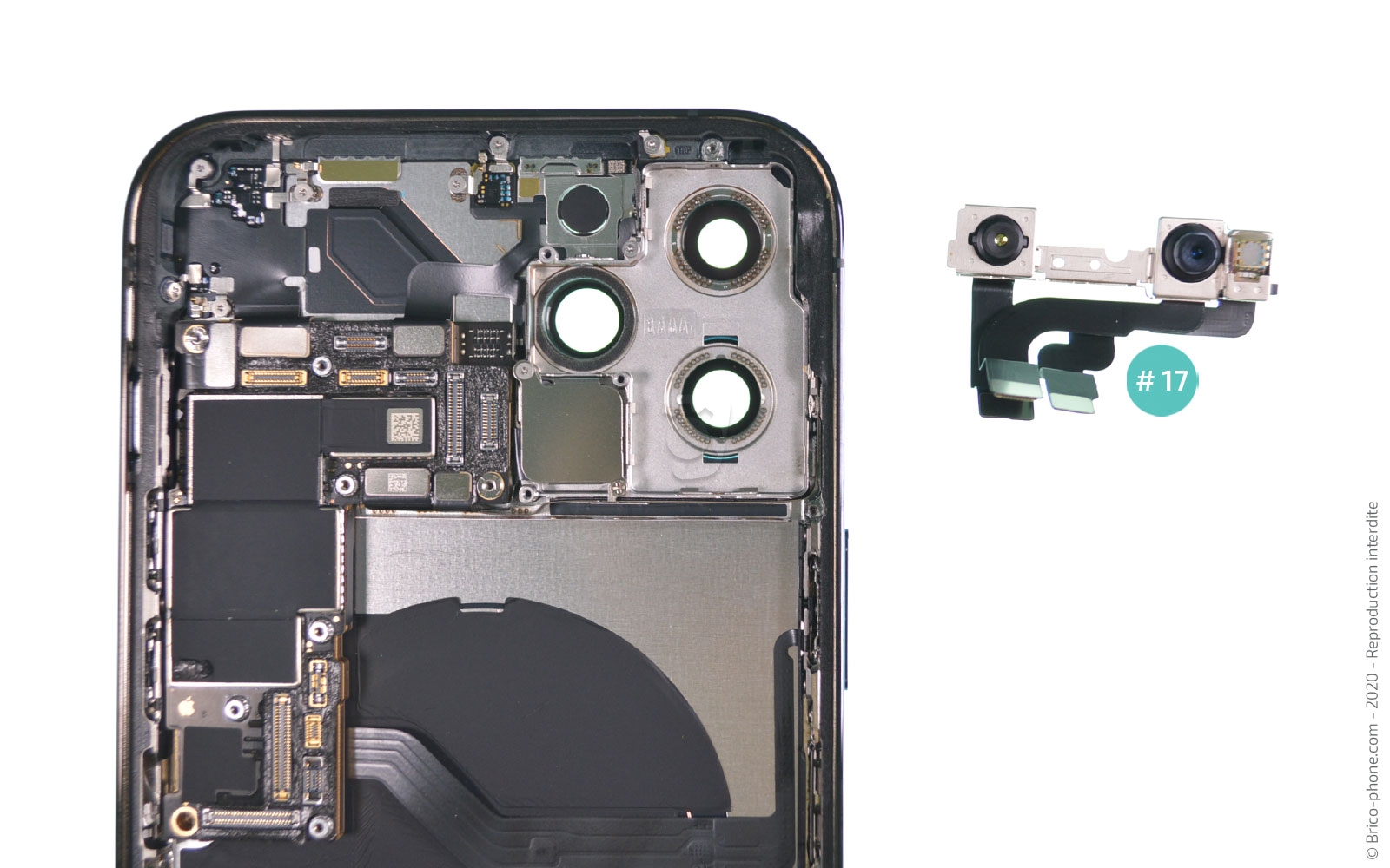 Démontage complet sur iPhone 12 Pro Max photo 3