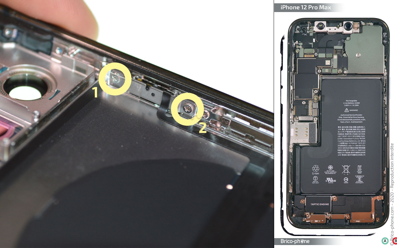 Démontage complet sur iPhone 12 Pro Max photo 2