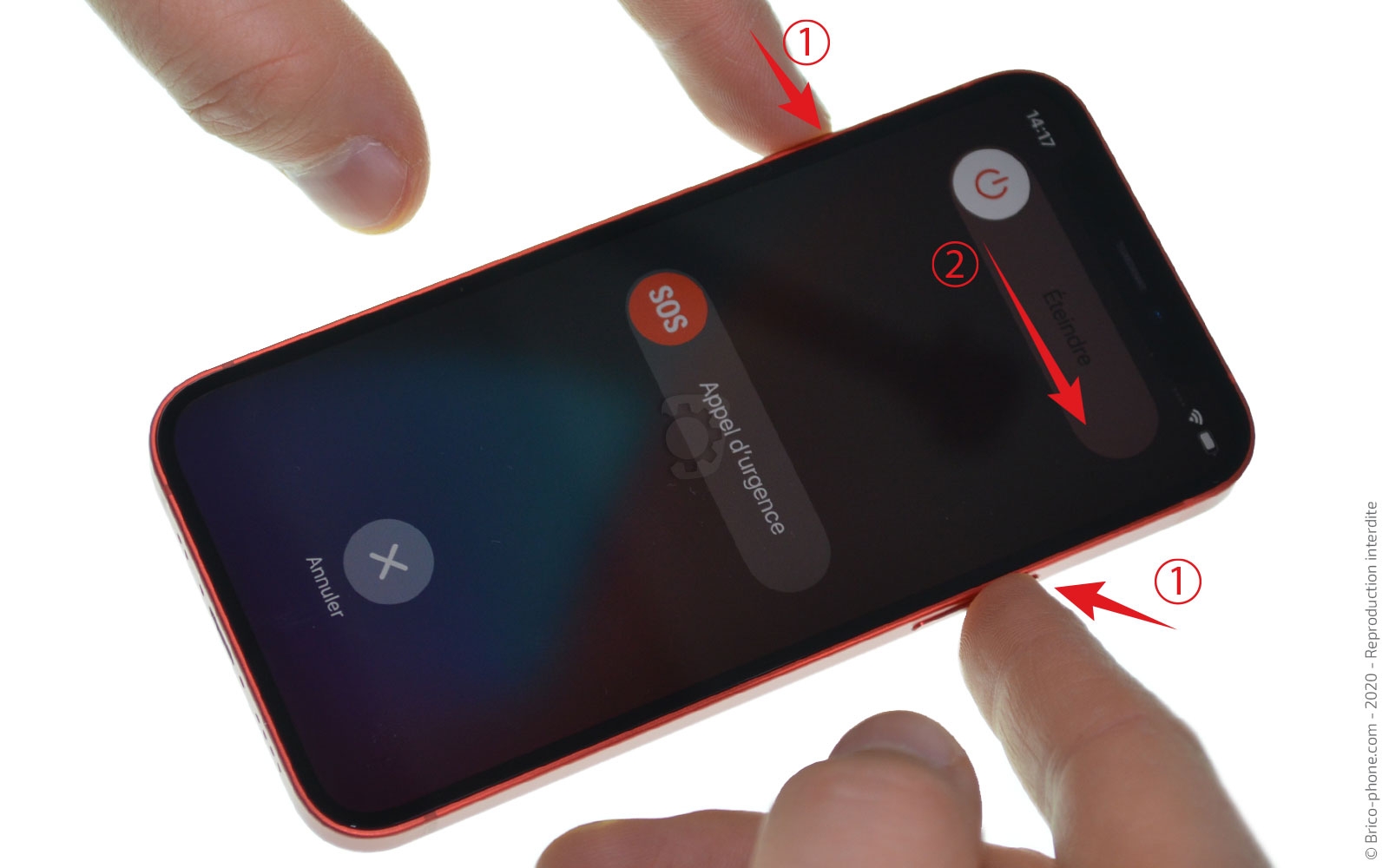 Démontage complet sur iPhone 12 Mini photo 4