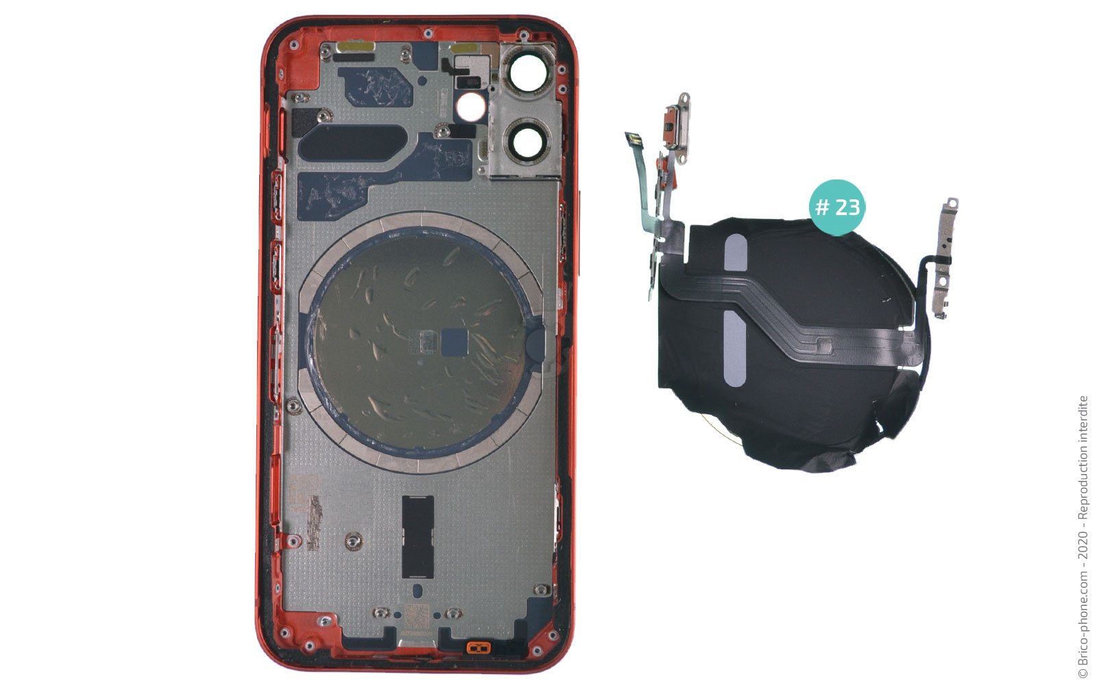 Démontage complet sur iPhone 12 Mini photo 4