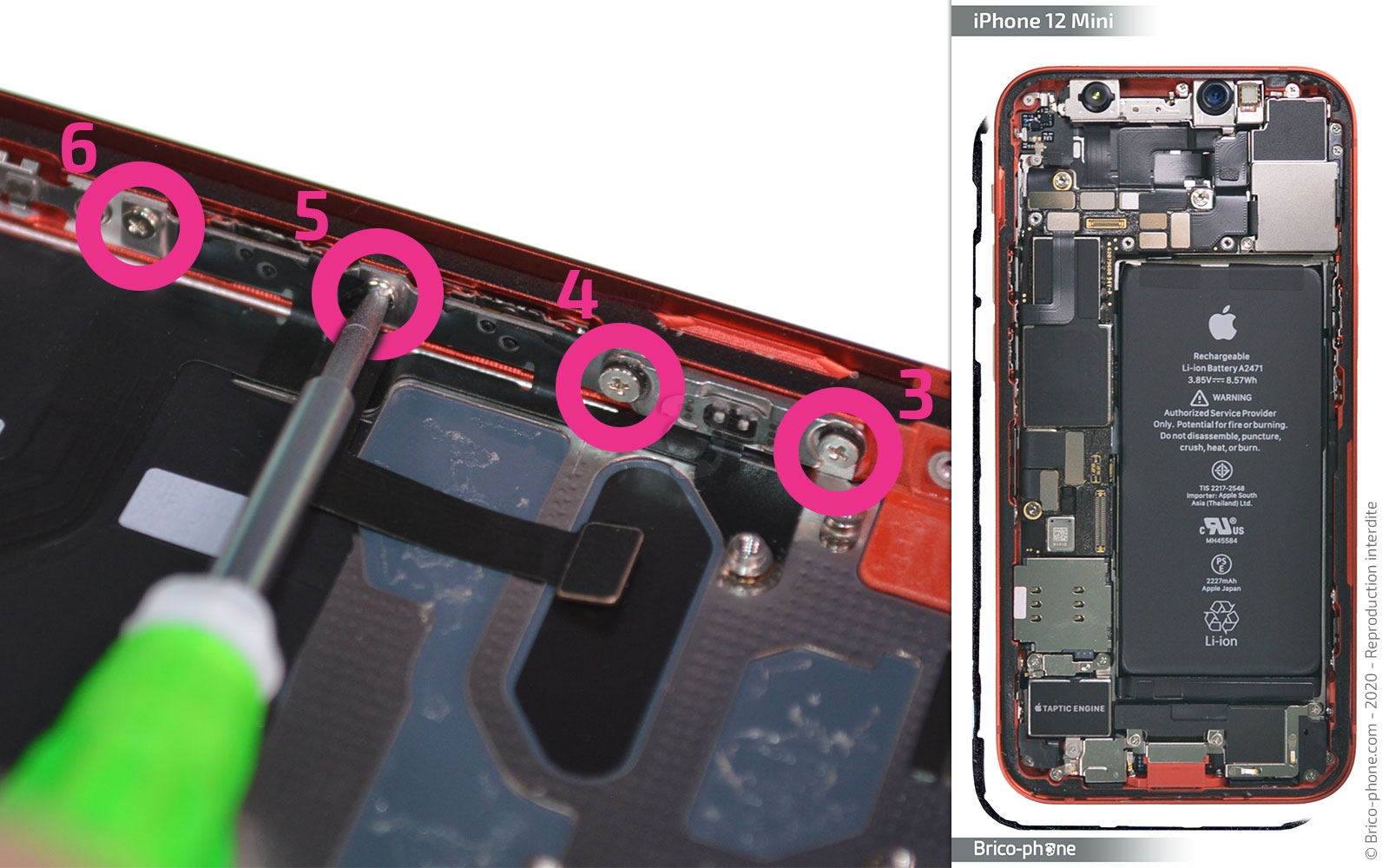 Démontage complet sur iPhone 12 Mini photo 2