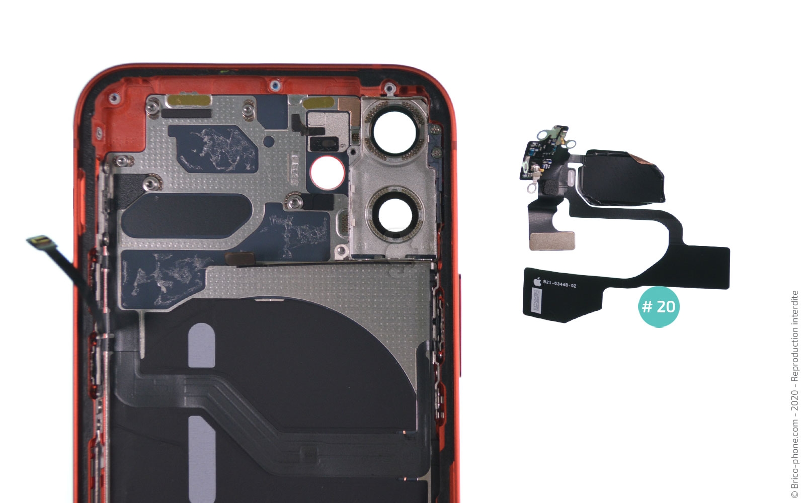 Démontage complet sur iPhone 12 Mini photo 4