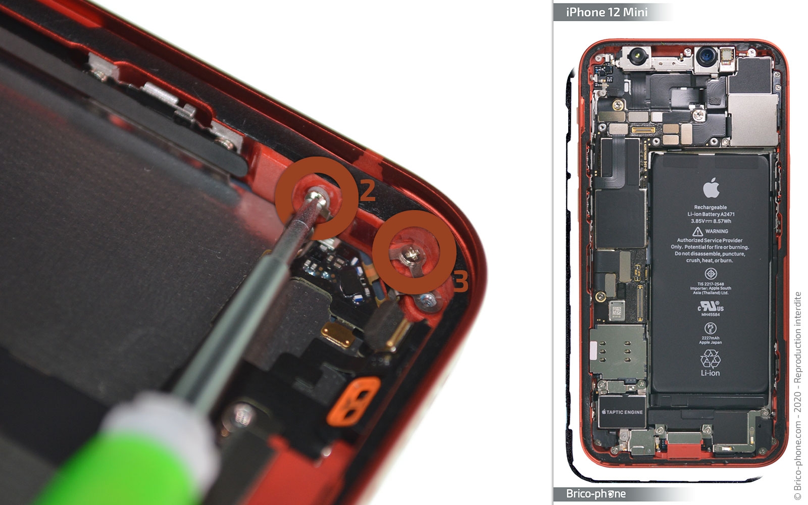 Démontage complet sur iPhone 12 Mini photo 2