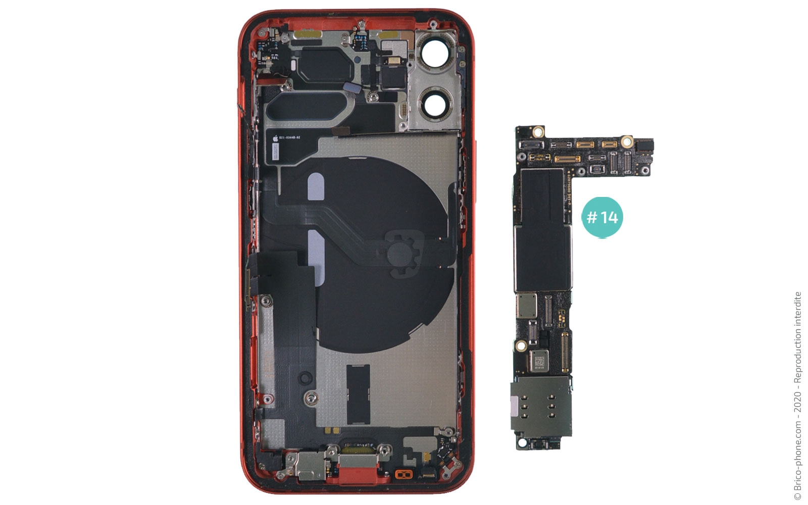 Démontage complet sur iPhone 12 Mini photo 2
