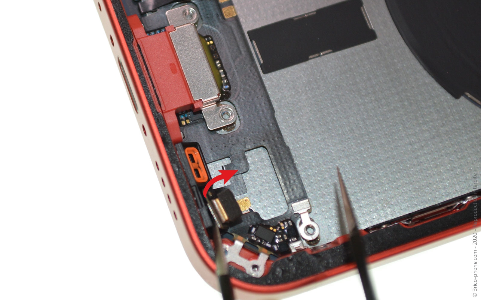 Démontage complet sur iPhone 12 Mini photo 3