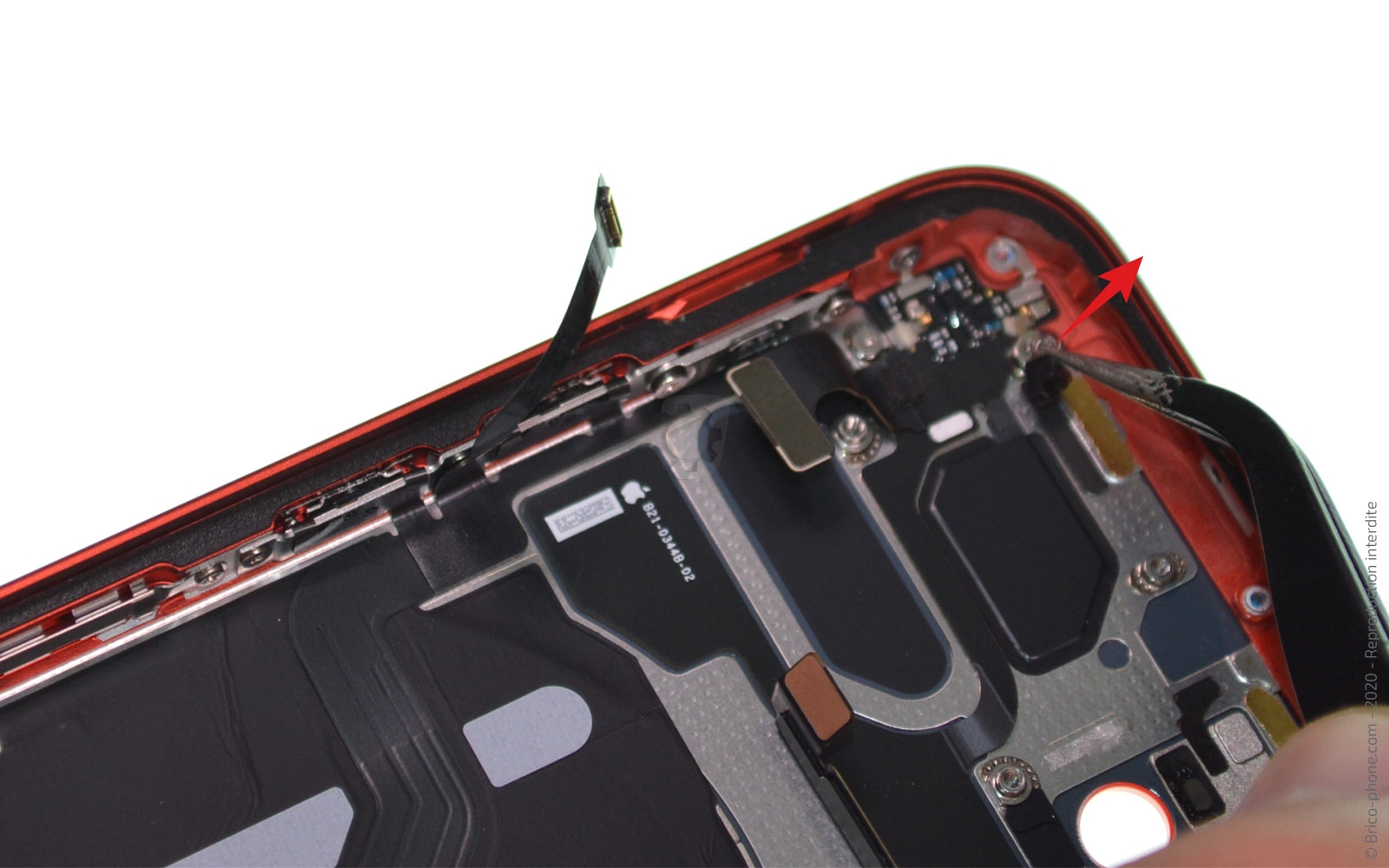 Démontage complet sur iPhone 12 Mini photo 2