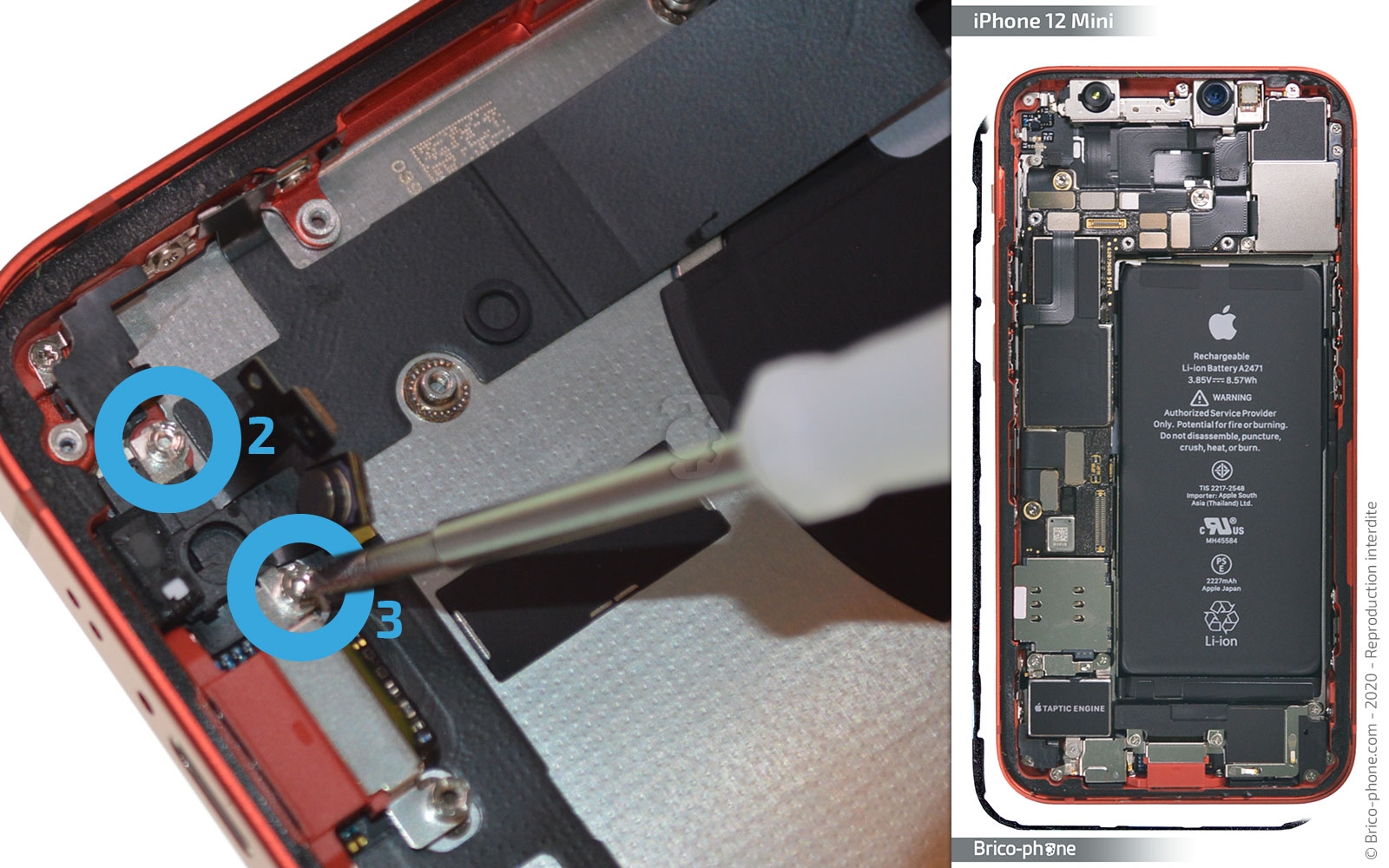 Démontage complet sur iPhone 12 Mini photo 1