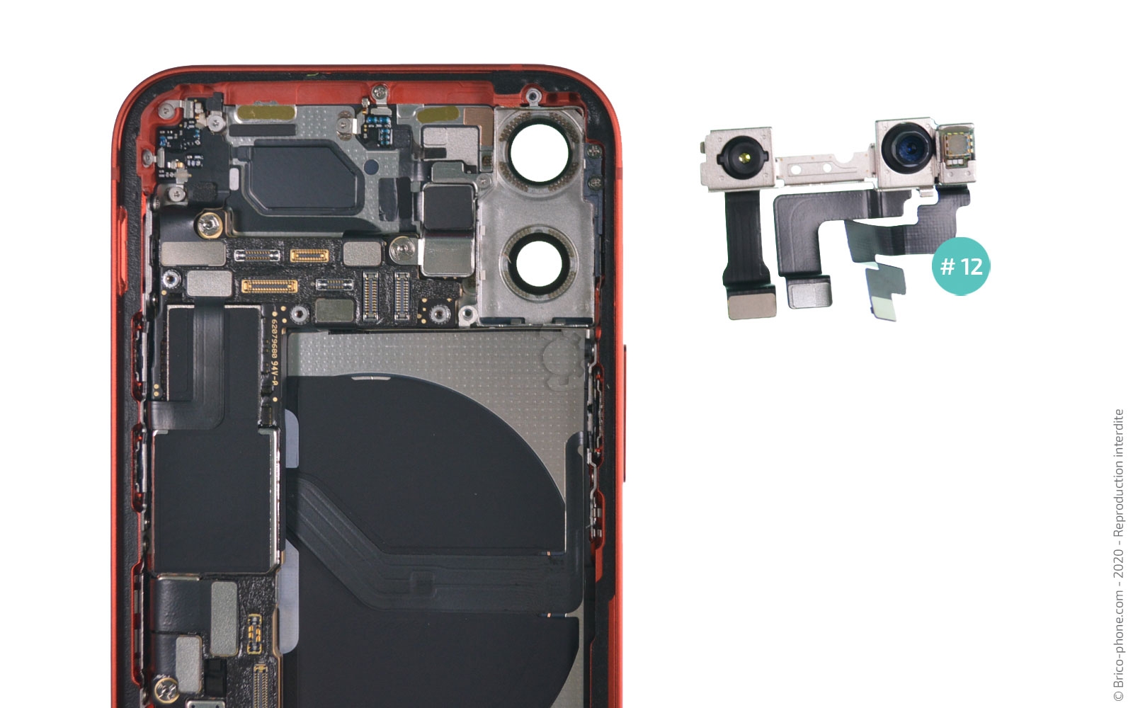 Démontage complet sur iPhone 12 Mini photo 3
